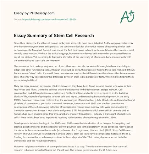 Example argumentative essay stem cell research